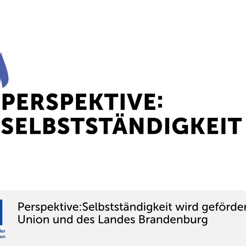 Header-Banner der Initiative „Perspektive: Selbstständigkeit“ mit Illustration einer diversen Gruppe von Menschen, EU-Förderhinweis und Social Impact Logo.